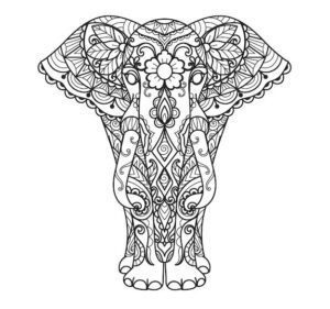 Mandala elefante