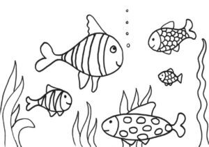 Dibujos de peces para imprimir y pintar​