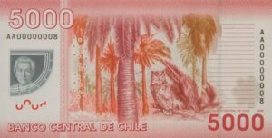 billete 5000 pesos chilenos reverso