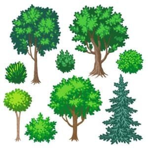 Arboles para imprimir y recortar a color