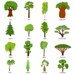 Arboles para imprimir y recortar a color