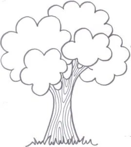 Arboles para imprimir colorear