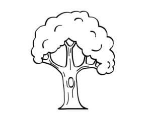 Arboles para imprimir colorear