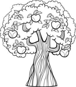 Arboles para imprimir colorear